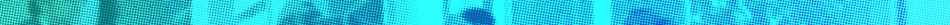 BPL_950x25 1